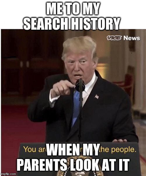 You're the enemy of the people | ME TO MY SEARCH HISTORY; WHEN MY PARENTS LOOK AT IT | image tagged in you're the enemy of the people | made w/ Imgflip meme maker