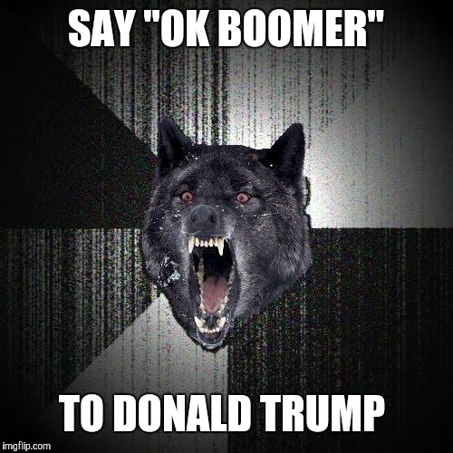 FUTURAMA FRY: Not sure if insane or genius. | SAY "OK BOOMER"; TO DONALD TRUMP | image tagged in memes,insanity wolf,donald trump,ok boomer | made w/ Imgflip meme maker