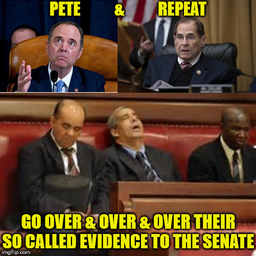 Pete & Repeat | PETE           &           REPEAT; GO OVER & OVER & OVER THEIR SO CALLED EVIDENCE TO THE SENATE | image tagged in no nads nadler,schiff,memes,trump impeachment,aint nobody got time for that,one does not simply | made w/ Imgflip meme maker