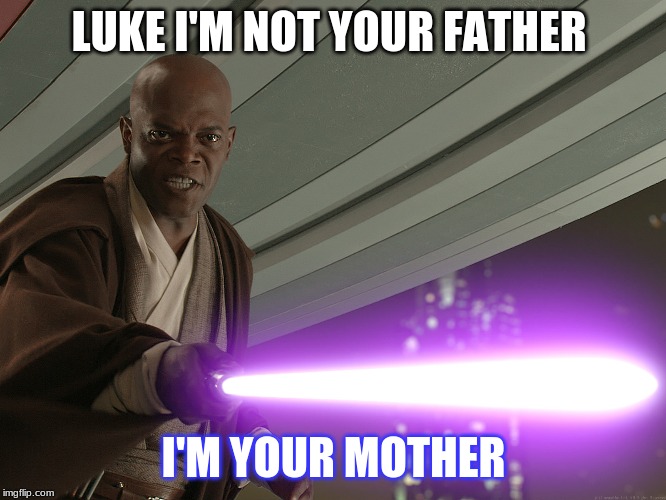 mace windu | LUKE I'M NOT YOUR FATHER; I'M YOUR MOTHER | image tagged in mace windu | made w/ Imgflip meme maker