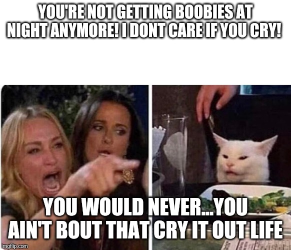 Lady screams at cat | YOU'RE NOT GETTING BOOBIES AT NIGHT ANYMORE! I DONT CARE IF YOU CRY! YOU WOULD NEVER...YOU AIN'T BOUT THAT CRY IT OUT LIFE | image tagged in lady screams at cat | made w/ Imgflip meme maker