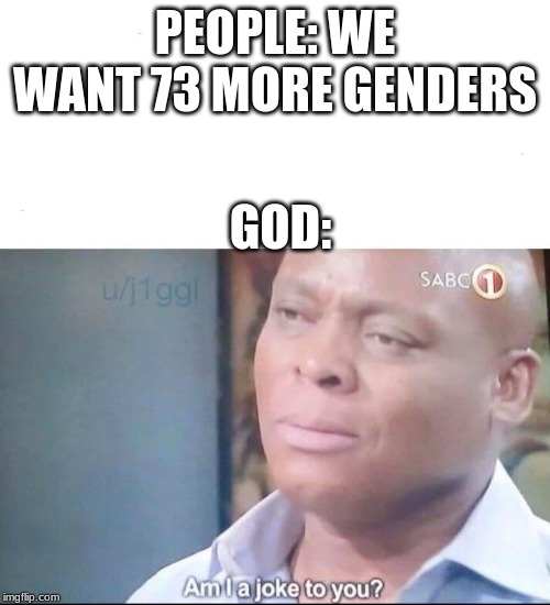 am I a joke to you | PEOPLE: WE WANT 73 MORE GENDERS; GOD: | image tagged in am i a joke to you | made w/ Imgflip meme maker