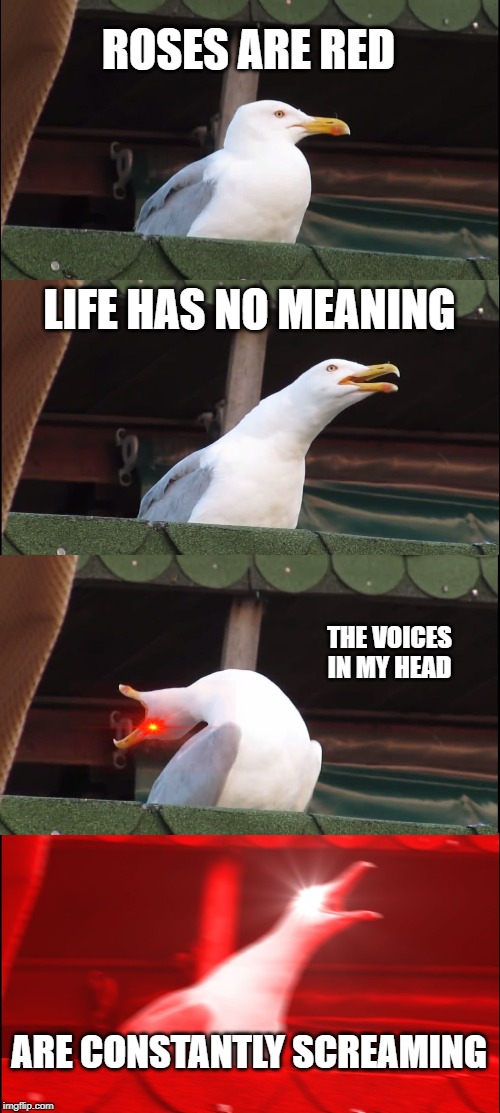 Inhaling Seagull Meme | ROSES ARE RED; LIFE HAS NO MEANING; THE VOICES IN MY HEAD; ARE CONSTANTLY SCREAMING | image tagged in memes,inhaling seagull | made w/ Imgflip meme maker