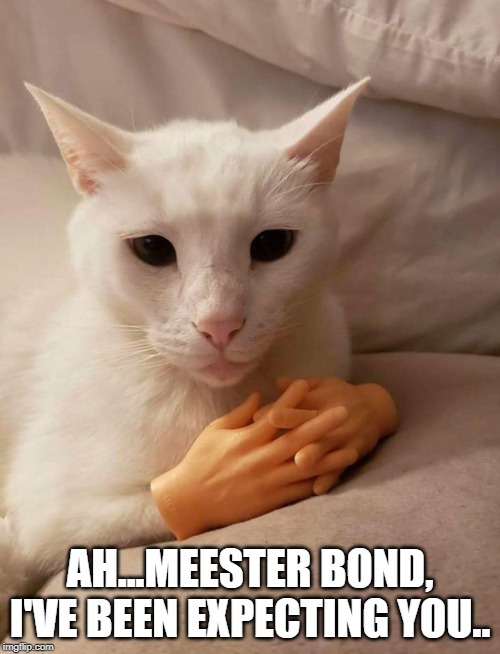 AH...MEESTER BOND, I'VE BEEN EXPECTING YOU.. | image tagged in cat | made w/ Imgflip meme maker