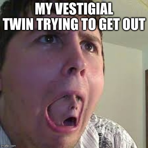 escape | MY VESTIGIAL TWIN TRYING TO GET OUT | image tagged in escape,twins,brothers,vestigial | made w/ Imgflip meme maker