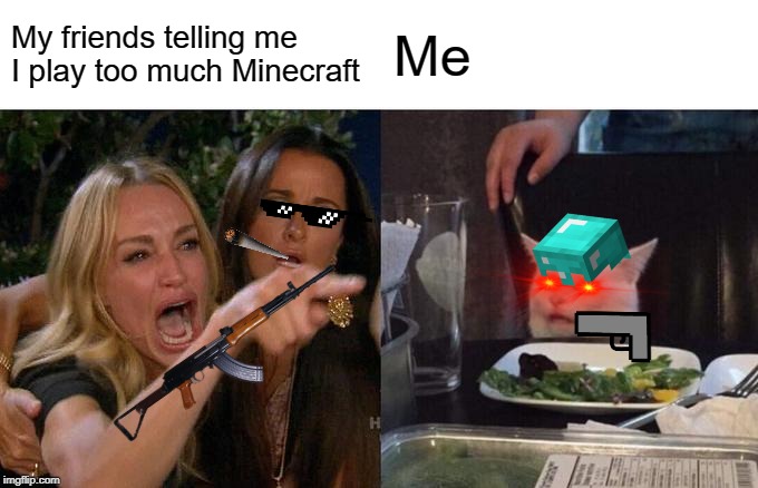 Woman Yelling At Cat | My friends telling me I play too much Minecraft; Me | image tagged in memes,woman yelling at cat | made w/ Imgflip meme maker