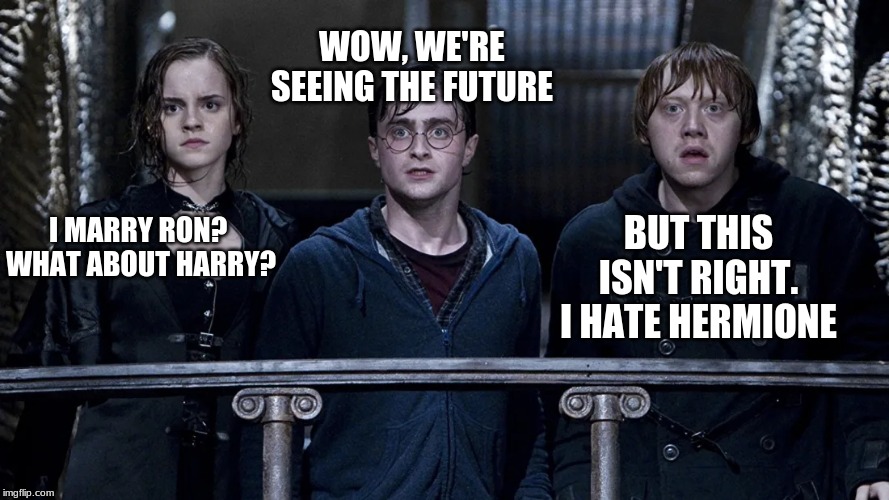 Wait... Really? | WOW, WE'RE SEEING THE FUTURE; BUT THIS ISN'T RIGHT. I HATE HERMIONE; I MARRY RON? 
WHAT ABOUT HARRY? | image tagged in wait really | made w/ Imgflip meme maker