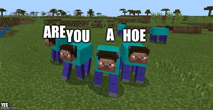me and the boys | YOU ARE A HOE YES | image tagged in me and the boys | made w/ Imgflip meme maker