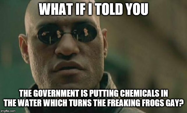 Matrix Morpheus Meme | WHAT IF I TOLD YOU THE GOVERNMENT IS PUTTING CHEMICALS IN THE WATER WHICH TURNS THE FREAKING FROGS GAY? | image tagged in memes,matrix morpheus | made w/ Imgflip meme maker