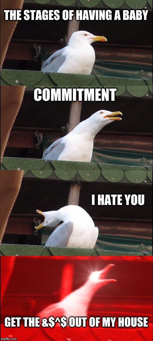 Inhaling Seagull Meme | THE STAGES OF HAVING A BABY; COMMITMENT; I HATE YOU; GET THE &$^$ OUT OF MY HOUSE | image tagged in memes,inhaling seagull | made w/ Imgflip meme maker