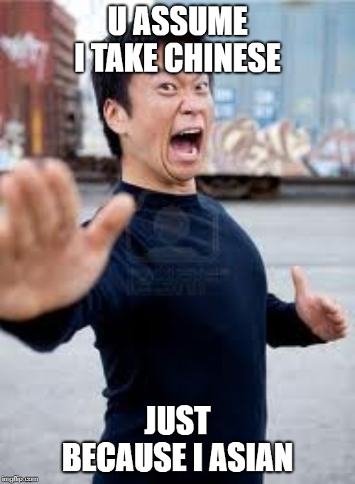 Angry Asian |  U ASSUME I TAKE CHINESE; JUST BECAUSE I ASIAN | image tagged in memes,angry asian | made w/ Imgflip meme maker