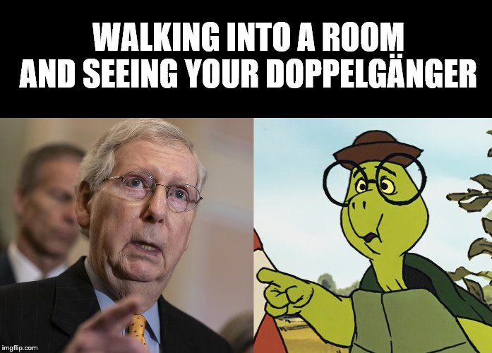 McConnell doppelgänger | WALKING INTO A ROOM AND SEEING YOUR DOPPELGÄNGER | image tagged in politics,funny,satire | made w/ Imgflip meme maker