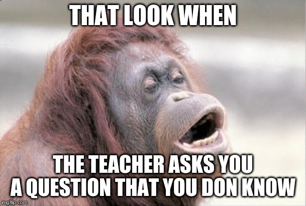 Monkey OOH Meme | THAT LOOK WHEN; THE TEACHER ASKS YOU A QUESTION THAT YOU DON KNOW | image tagged in memes,monkey ooh | made w/ Imgflip meme maker