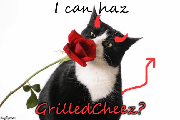 Who needs Cheezburgers? | I can haz; GrilledCheez? | image tagged in ememeon,grilledcheez,i can has cheezburger cat | made w/ Imgflip meme maker