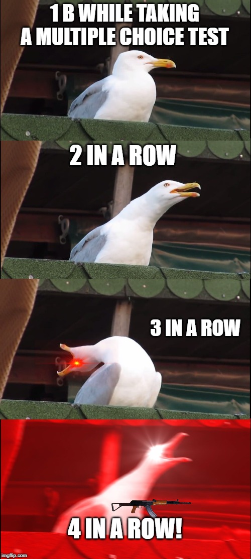 Inhaling Seagull | 1 B WHILE TAKING A MULTIPLE CHOICE TEST; 2 IN A ROW; 3 IN A ROW; 4 IN A ROW! | image tagged in memes,inhaling seagull | made w/ Imgflip meme maker