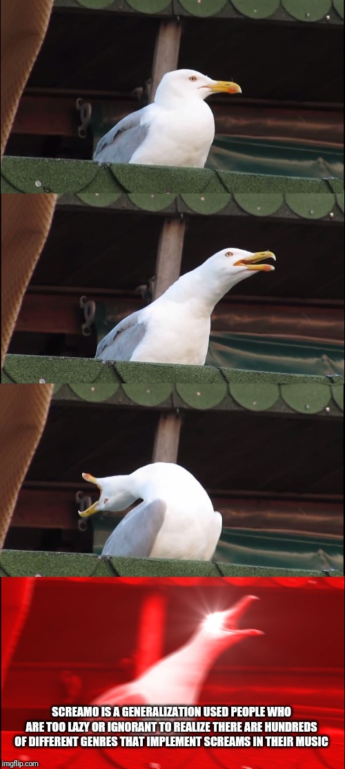 Inhaling Seagull Meme | SCREAMO IS A GENERALIZATION USED PEOPLE WHO ARE TOO LAZY OR IGNORANT TO REALIZE THERE ARE HUNDREDS OF DIFFERENT GENRES THAT IMPLEMENT SCREAMS IN THEIR MUSIC | image tagged in memes,inhaling seagull | made w/ Imgflip meme maker