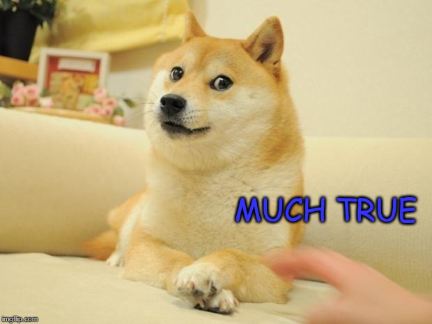 Doge 2 Meme | MUCH TRUE | image tagged in memes,doge 2 | made w/ Imgflip meme maker