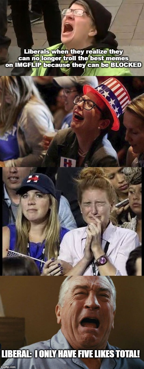 Block party is ON!  FINALLY! | Liberals when they realize they can no longer troll the best memes on IMGFLIP because they can be BLOCKED; LIBERAL:  I ONLY HAVE FIVE LIKES TOTAL! | image tagged in crying liberals,crying liberal,deniro crying | made w/ Imgflip meme maker