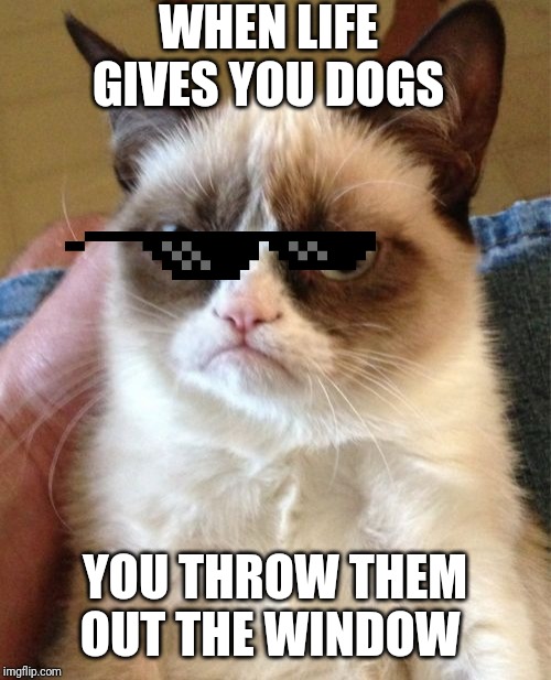 Grumpy Cat Meme | WHEN LIFE GIVES YOU DOGS; YOU THROW THEM OUT THE WINDOW | image tagged in memes,grumpy cat | made w/ Imgflip meme maker