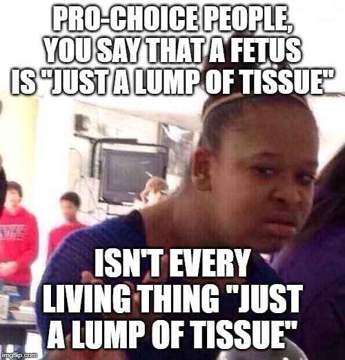 Pro-Life Meme | PRO-CHOICE PEOPLE, YOU SAY THAT A FETUS IS "JUST A LUMP OF TISSUE"; ISN'T EVERY LIVING THING "JUST A LUMP OF TISSUE" | image tagged in memes,black girl wat,pro-life,politics,political meme,political | made w/ Imgflip meme maker