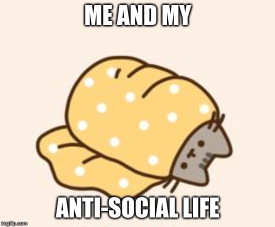 Pusheen cat in a burrito | ME AND MY; ANTI-SOCIAL LIFE | image tagged in pusheen cat in a burrito | made w/ Imgflip meme maker
