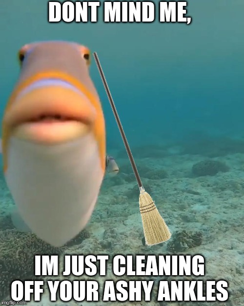 Don't mind him... | DONT MIND ME, IM JUST CLEANING OFF YOUR ASHY ANKLES | image tagged in fish,funny,funny memes,stupid | made w/ Imgflip meme maker