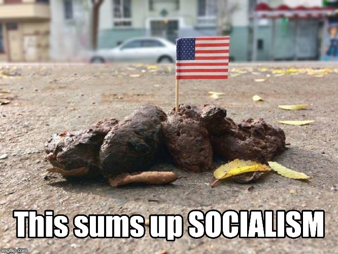 Vote DEMOCRAT! | image tagged in socialism,poop,american flag | made w/ Imgflip meme maker