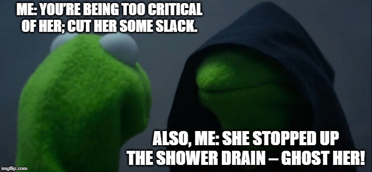 Evil Kermit Meme | ME: YOU’RE BEING TOO CRITICAL OF HER; CUT HER SOME SLACK. ALSO, ME: SHE STOPPED UP THE SHOWER DRAIN – GHOST HER! | image tagged in memes,evil kermit | made w/ Imgflip meme maker