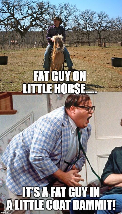  FAT GUY ON LITTLE HORSE..... IT'S A FAT GUY IN A LITTLE COAT DAMMIT! | image tagged in chris farley for the love of god | made w/ Imgflip meme maker