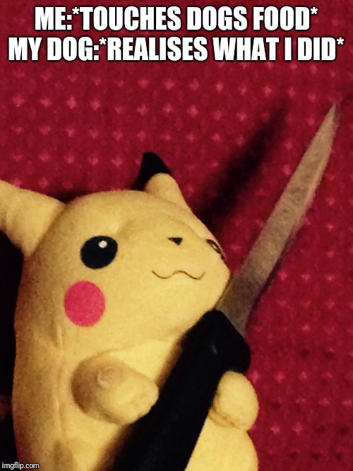PIKACHU learned STAB! | ME:*TOUCHES DOGS FOOD*
MY DOG:*REALISES WHAT I DID* | image tagged in pikachu learned stab | made w/ Imgflip meme maker
