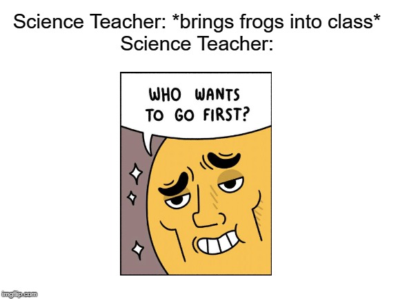 Blank White Template | Science Teacher: *brings frogs into class*
Science Teacher: | image tagged in blank white template | made w/ Imgflip meme maker