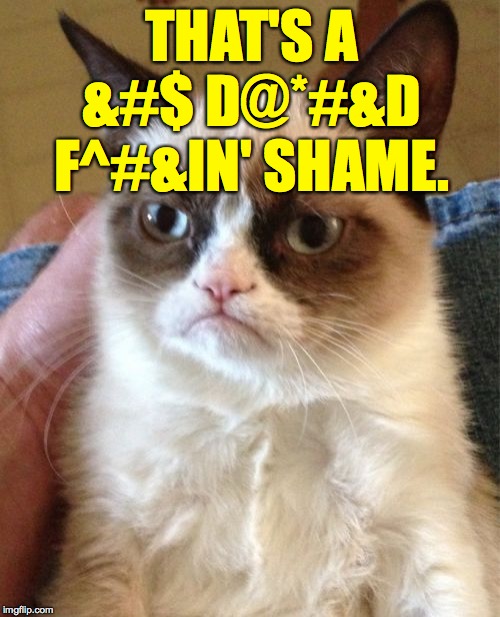 Grumpy Cat Meme | THAT'S A &#$ D@*#&D F^#&IN' SHAME. | image tagged in memes,grumpy cat | made w/ Imgflip meme maker