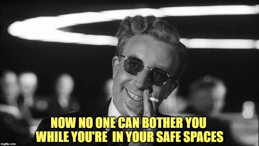 Doctor Strangelove says... | NOW NO ONE CAN BOTHER YOU 
WHILE YOU'RE  IN YOUR SAFE SPACES | image tagged in doctor strangelove says | made w/ Imgflip meme maker