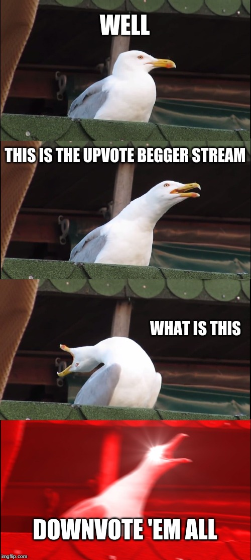 Dos upvote beggars | WELL; THIS IS THE UPVOTE BEGGER STREAM; WHAT IS THIS; DOWNVOTE 'EM ALL | image tagged in memes,inhaling seagull | made w/ Imgflip meme maker