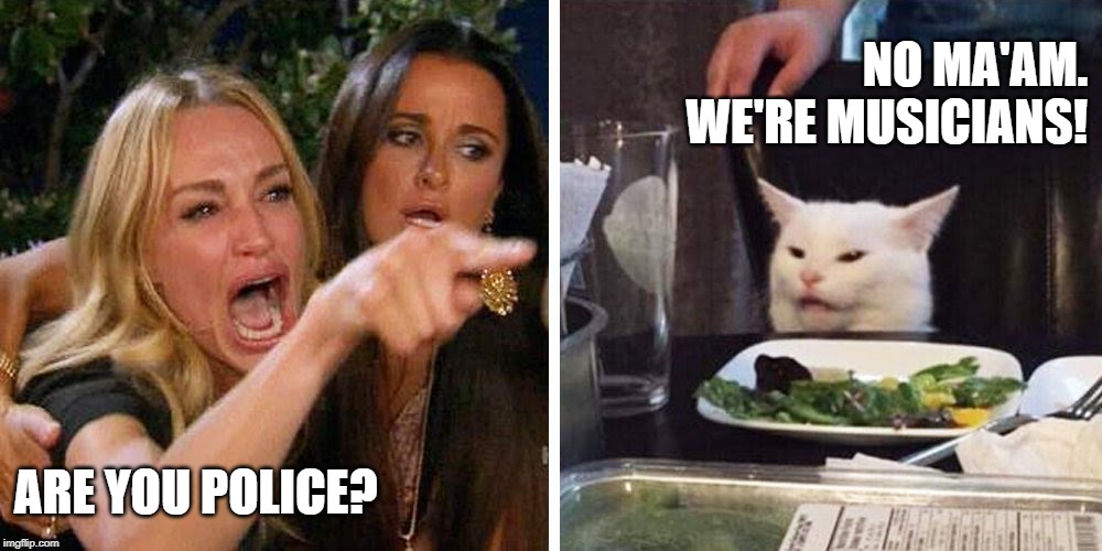 Smudge the cat | NO MA'AM.
WE'RE MUSICIANS! ARE YOU POLICE? | image tagged in smudge the cat | made w/ Imgflip meme maker