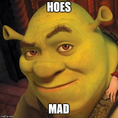 Shrek Sexy Face | HOES MAD | image tagged in shrek sexy face | made w/ Imgflip meme maker