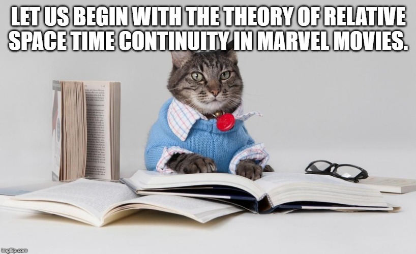 smart cat | LET US BEGIN WITH THE THEORY OF RELATIVE SPACE TIME CONTINUITY IN MARVEL MOVIES. | image tagged in smart cat | made w/ Imgflip meme maker