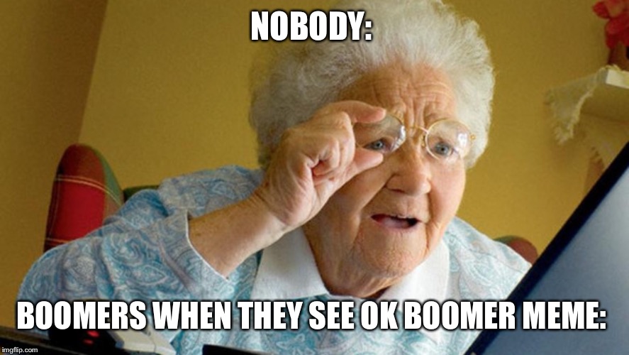grandma computer | NOBODY:; BOOMERS WHEN THEY SEE OK BOOMER MEME: | image tagged in grandma computer | made w/ Imgflip meme maker