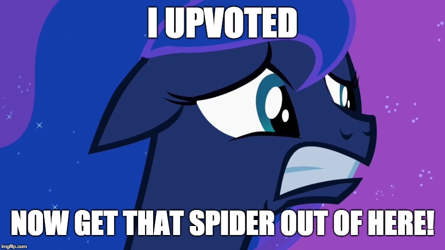Scared Luna | I UPVOTED NOW GET THAT SPIDER OUT OF HERE! | image tagged in scared luna | made w/ Imgflip meme maker