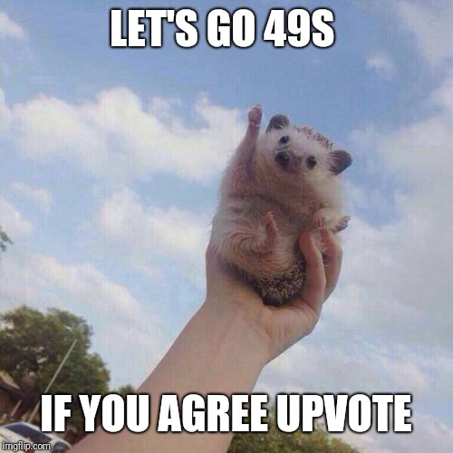 lets go | LET'S GO 49S; IF YOU AGREE UPVOTE | image tagged in lets go | made w/ Imgflip meme maker