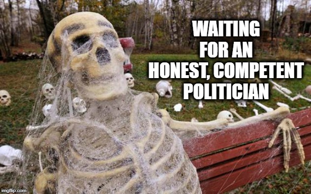 Waiting for nothing | WAITING FOR AN HONEST, COMPETENT POLITICIAN | image tagged in waiting for nothing | made w/ Imgflip meme maker