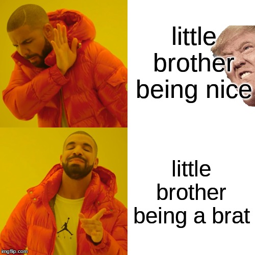 Drake Hotline Bling Meme | little brother being nice; little brother being a brat | image tagged in memes,drake hotline bling | made w/ Imgflip meme maker