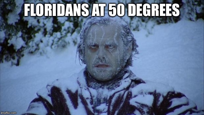 Cold | FLORIDANS AT 50 DEGREES | image tagged in cold | made w/ Imgflip meme maker