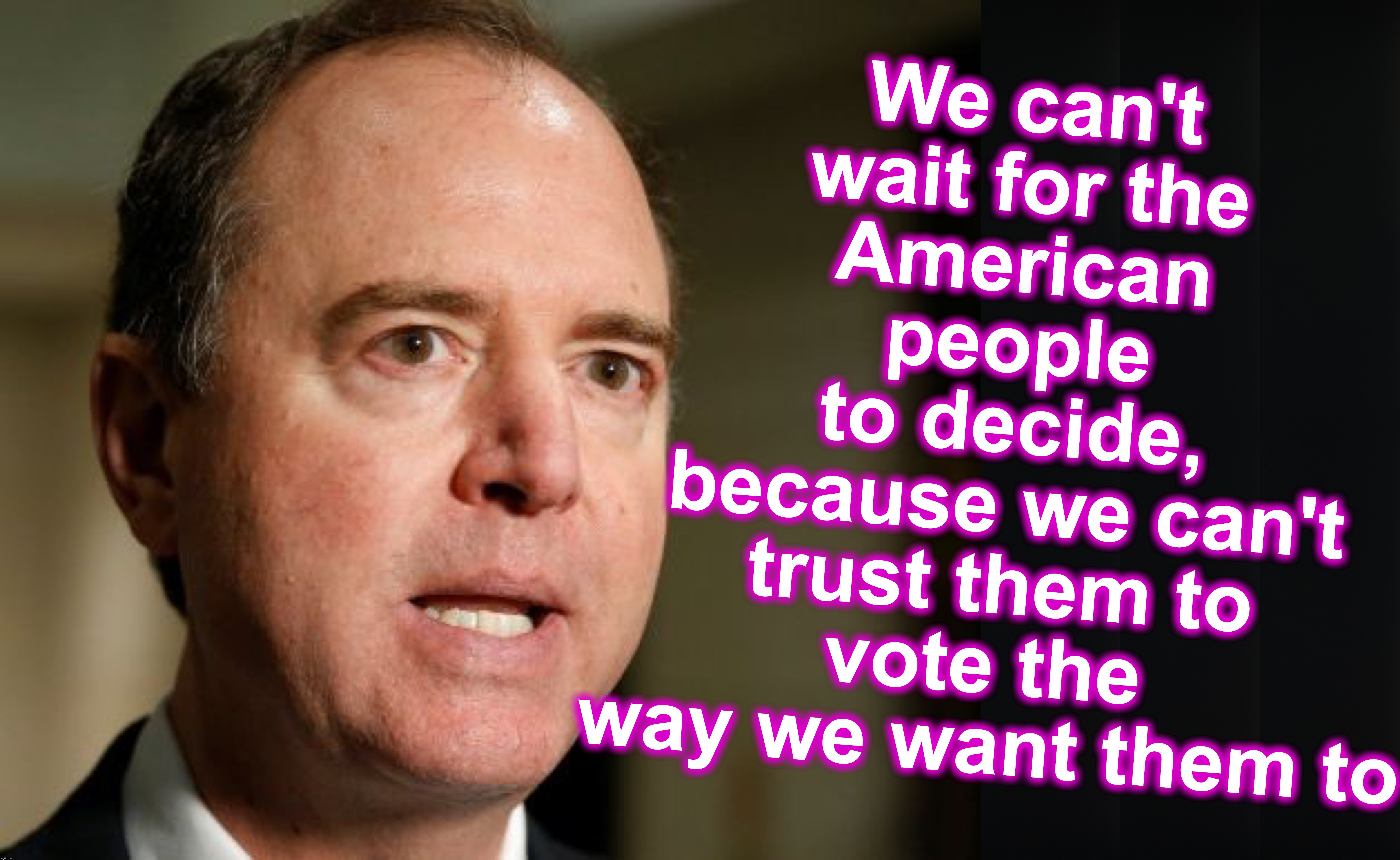this arrogance should infuriate everyone | We can't wait for the American people
 to decide, 
 because we can't 
trust them to vote the 
way we want them to | image tagged in adam schiff constitutional crisis | made w/ Imgflip meme maker