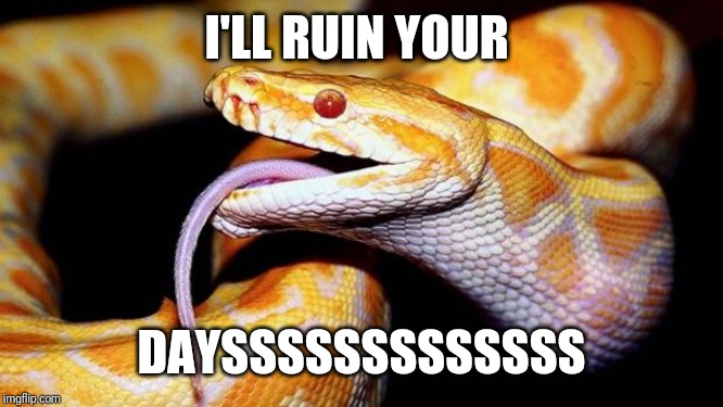 high af snake | I'LL RUIN YOUR DAYSSSSSSSSSSSSS | image tagged in high af snake | made w/ Imgflip meme maker