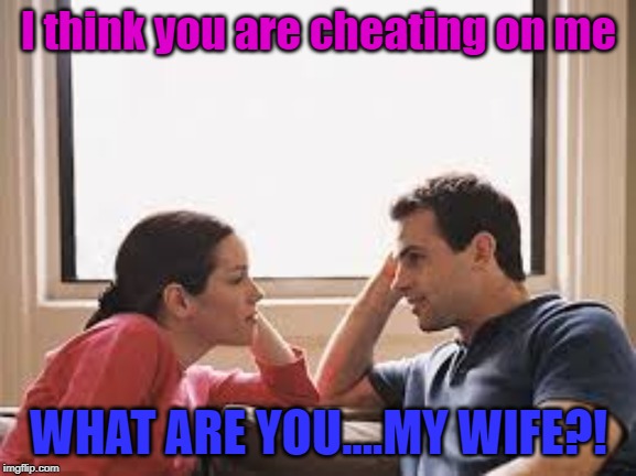 Cheater | I think you are cheating on me; WHAT ARE YOU....MY WIFE?! | image tagged in husband wife | made w/ Imgflip meme maker