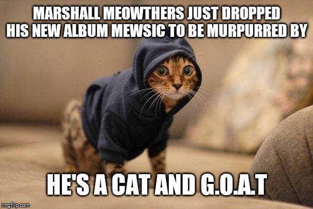 Hoody Cat | MARSHALL MEOWTHERS JUST DROPPED HIS NEW ALBUM MEWSIC TO BE MURPURRED BY; HE'S A CAT AND G.O.A.T | image tagged in memes,hoody cat | made w/ Imgflip meme maker