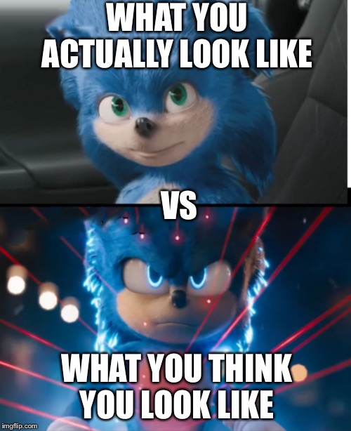 new sonic movie | WHAT YOU ACTUALLY LOOK LIKE; VS; WHAT YOU THINK YOU LOOK LIKE | image tagged in new sonic movie,epic | made w/ Imgflip meme maker