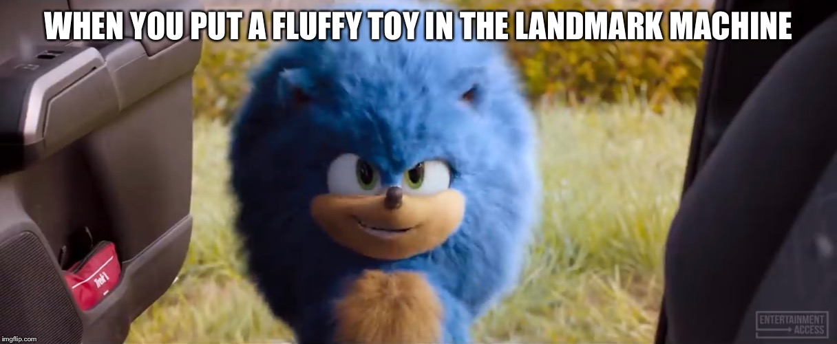  WHEN YOU PUT A FLUFFY TOY IN THE LANDMARK MACHINE | image tagged in new sonic movie | made w/ Imgflip meme maker