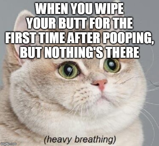 Heavy Breathing Cat | WHEN YOU WIPE YOUR BUTT FOR THE FIRST TIME AFTER POOPING, BUT NOTHING'S THERE | image tagged in memes,heavy breathing cat | made w/ Imgflip meme maker